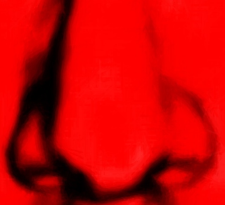 Carpentron Nose